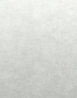 8873-03SL Обои Solo Soft Air фон св.бежевый к 8872-13 Комп. винил на флиз.1,06*10