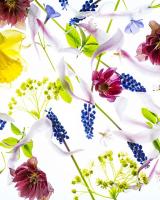 13019V8 фотообои на флизелине 3,68*2,54 (4части) SOLO