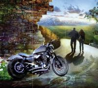 Пара мотоциклистов Flizetto Palmetto 300*270