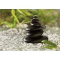 1-612 фотообои 184*127  