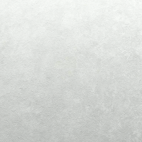 8873-05SL Обои Solo Soft Air фон серо-бежевый к SL8872-15 Комп. винил на флизелине 1,06*10