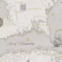 8838-22SL Обои Solo Geo карты св. бежевые к SL8839-12 Компактный винил на флиз.1,06*10,05