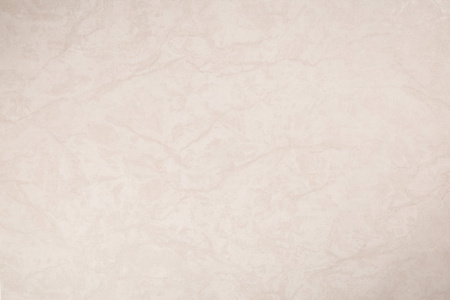 72440-22 HC Обои (8) 1,06*10м винил на флизе 10 ВВ ГТ ФО HomeColor