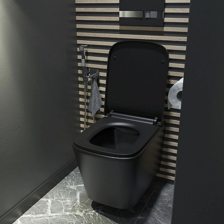 Унитаз подвес IDDIS Bild BILR2BMi25 безободковы+сид ЧЕРНЫЙ МАТОВЫЙ