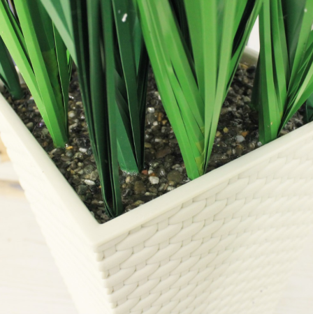 Трава с узким соцветием в больш/высок кашпо КК16-200/010/090