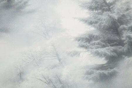 72551-44HC Обои (8) 1,06*10м винил на флизе 10 ВВ ГТ ФО HomeColor